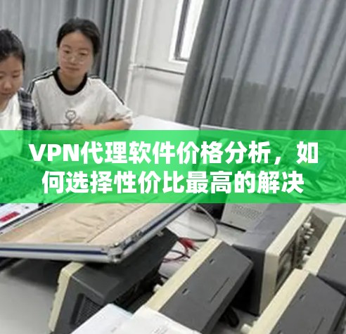 VPN代理软件价格分析，如何选择性价比最高的解决方案