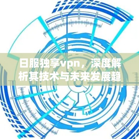 日服独享vpn，深度解析其技术与未来发展趋势