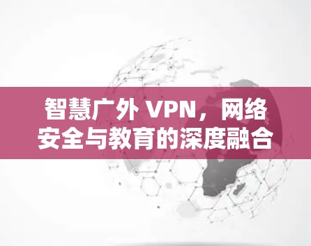 智慧广外 VPN,网络安全与教育的深度融合 智慧广外 VPN,网络安全与教育的深度融合